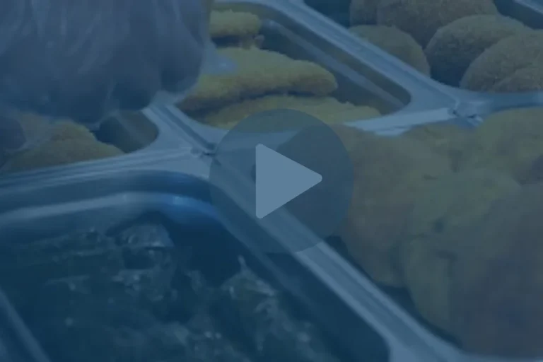 Can You Improve Retention During a Long Hold Under Heat? WE’VE DONE THAT!