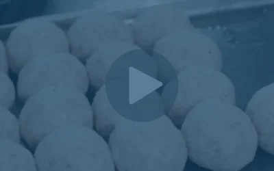 Can You Develop Organic Sausages and Meatballs for Commercial Production?