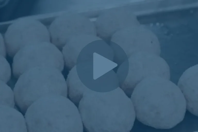 Can You Develop Organic Sausages and Meatballs for Commercial Production? WE’VE DONE THAT!