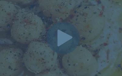 How Do You Eliminate Syneresis in a Hummus Application? WE’VE DONE THAT!