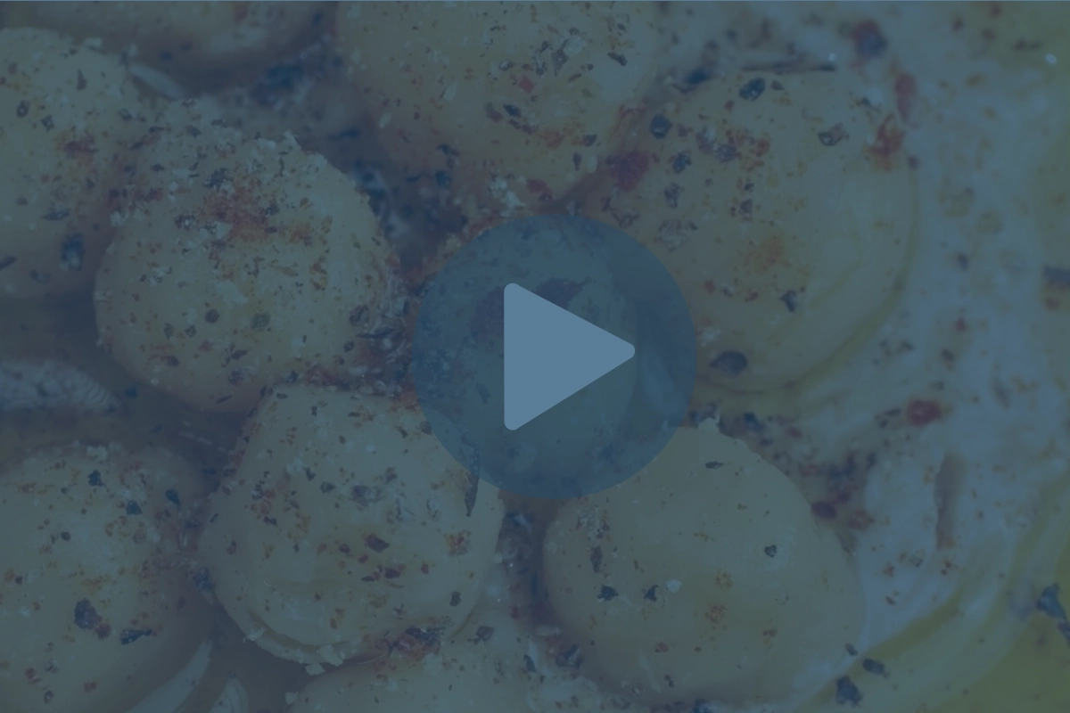 How Do You Eliminate Syneresis in a Hummus Application? WE’VE DONE THAT!